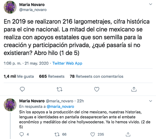 María Novaro 1.png