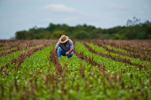 Agricultura.jpg