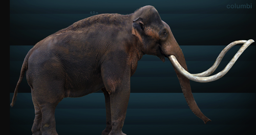 Mammuthus columbi.png