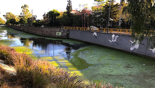 Río contaminado.png